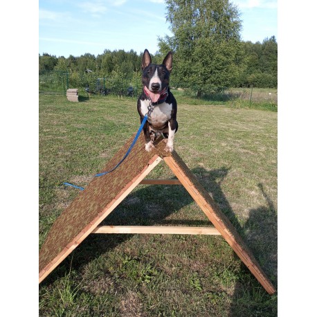 Individuali dresūros pamoka